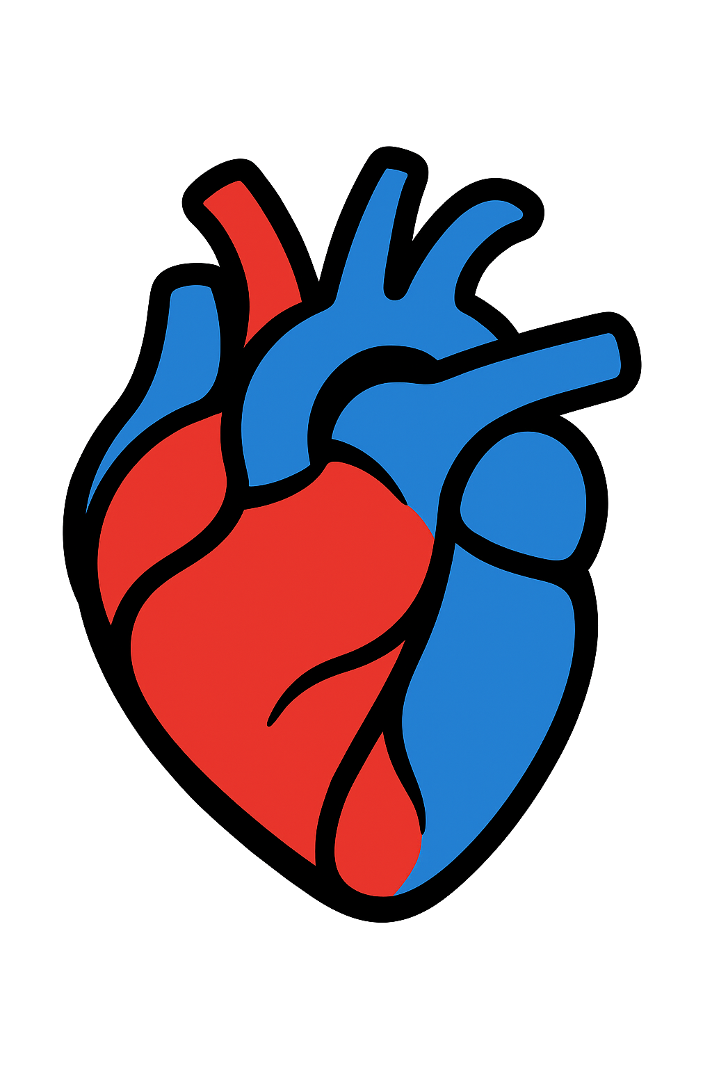 Heart Rate Variability